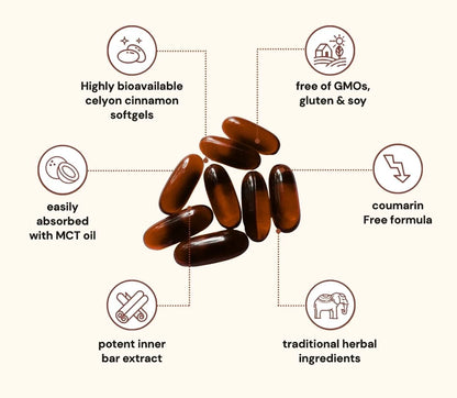 Ceylon Cinnamon 7200mg Equivalent with MCT Oil